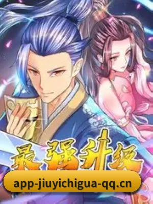 全域布局